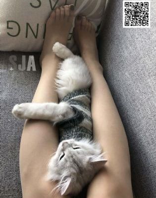 国产十大奶粉排名_高清电影免费在线