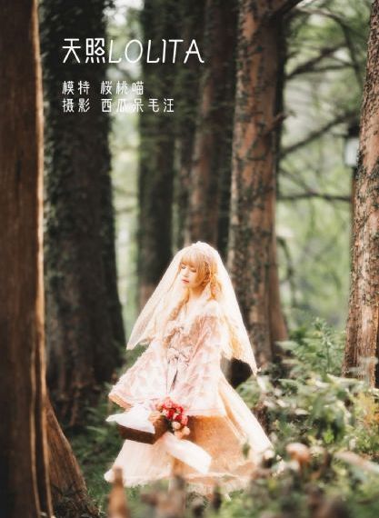 欧美亚州日韩中文一区_免费手机观看