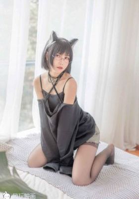 国产最好的猫粮的牌子_1080高清电影在线